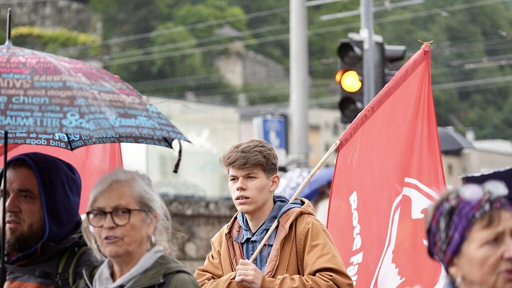 FFF-Demo, Klimastreik in Salzburg