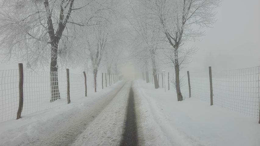 Eure schönsten Winterbilder II