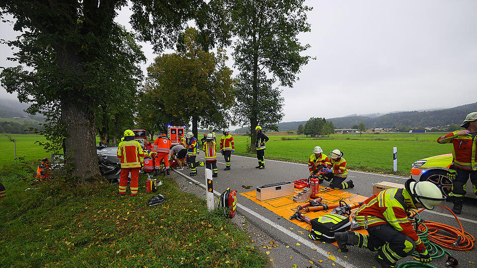 Pkw gegen Baum Anger