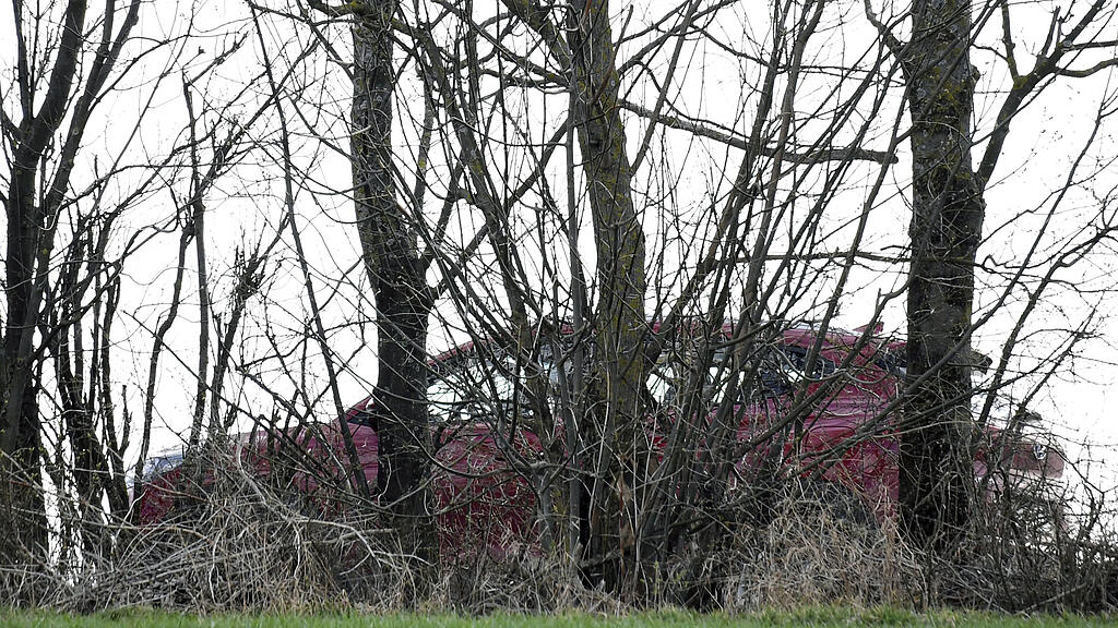 Tote in Mistelbach
