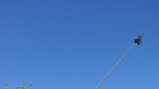Maibaumaufstellen in Piding und Ainring