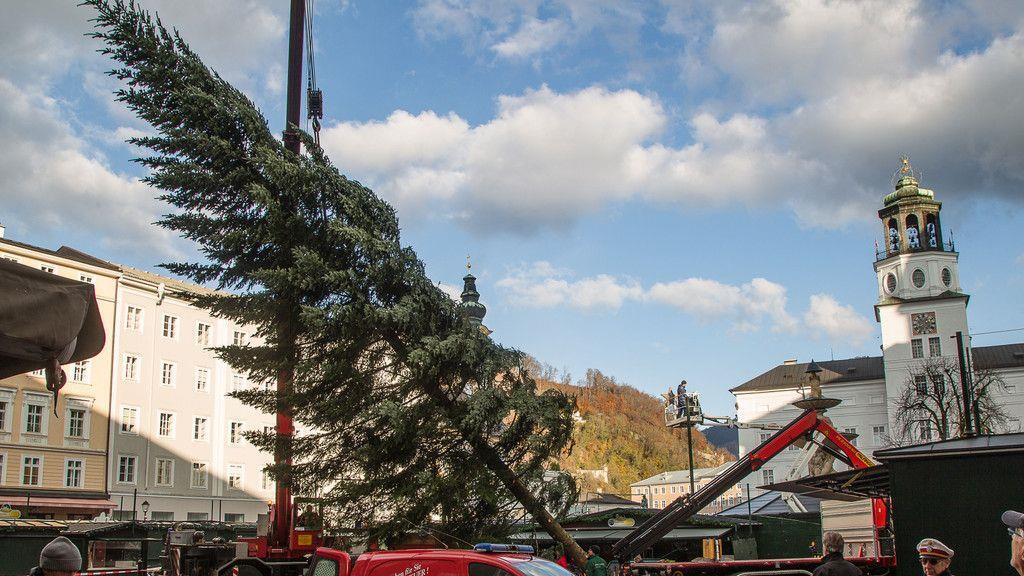Christbaum am Residenzplatz I