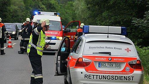Pinzgauerinnen in Bayern verletzt, II