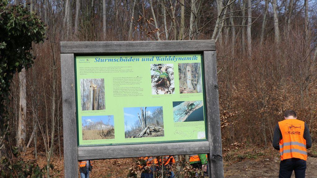 Baumarbeiten am Kapuzinerberg II