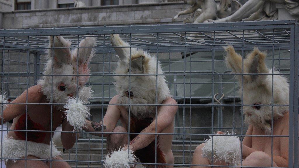 Tierschützerinnen protestieren nackt vor Parlament (Käfige)
