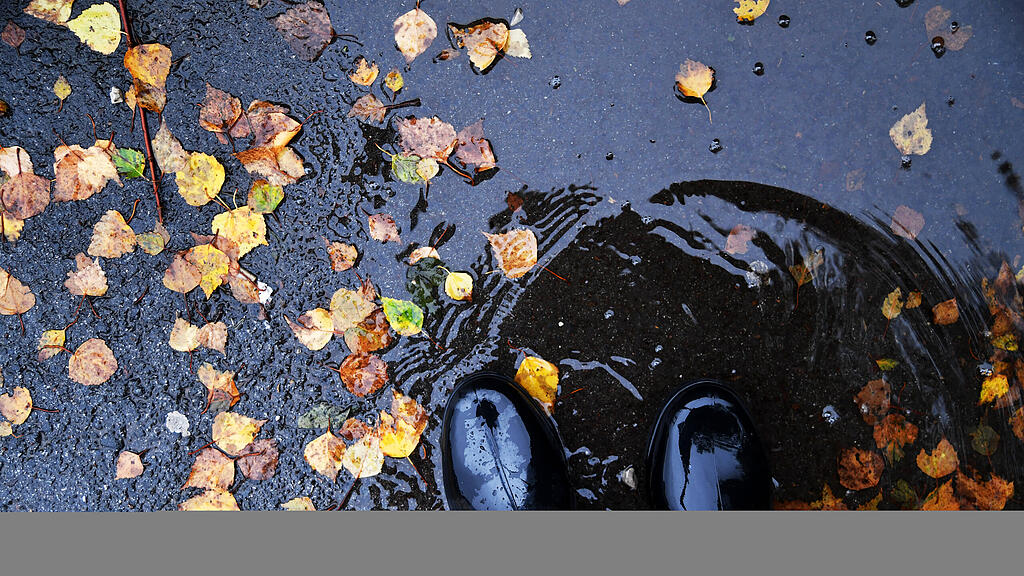 symb_herbst
