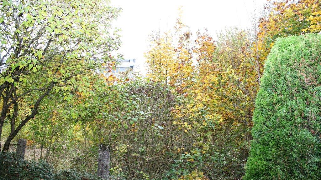 Hier soll gebaut werden