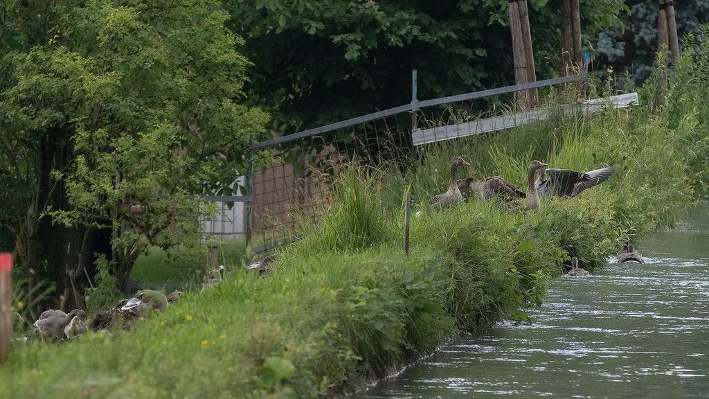 Baustelle am Almkanal