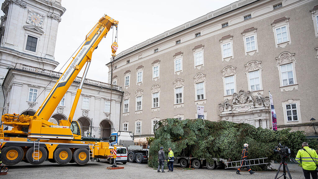 Baum am Christkindlmarkt eingetroffen