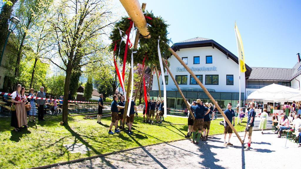 Maibaum in Anif
