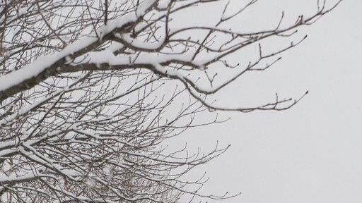 Schnee sorgt für Unfälle und Verkehrschaos: Innenstadt versinkt im Schnee