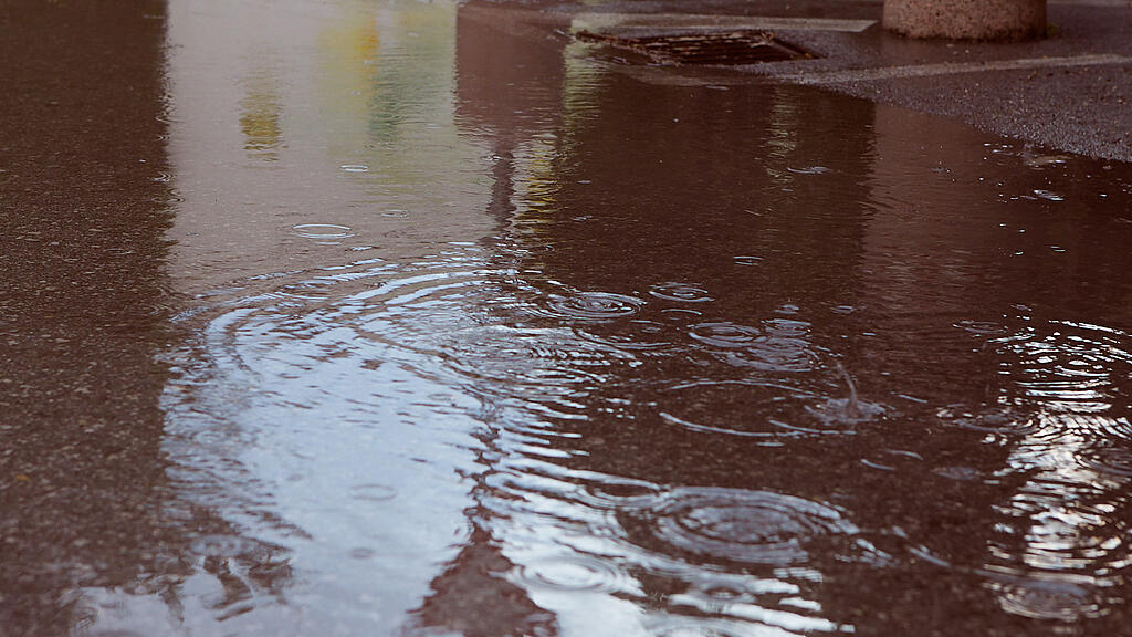 SB, Regen.jpg