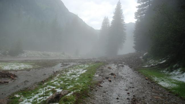 Murenabgänge in Göriach