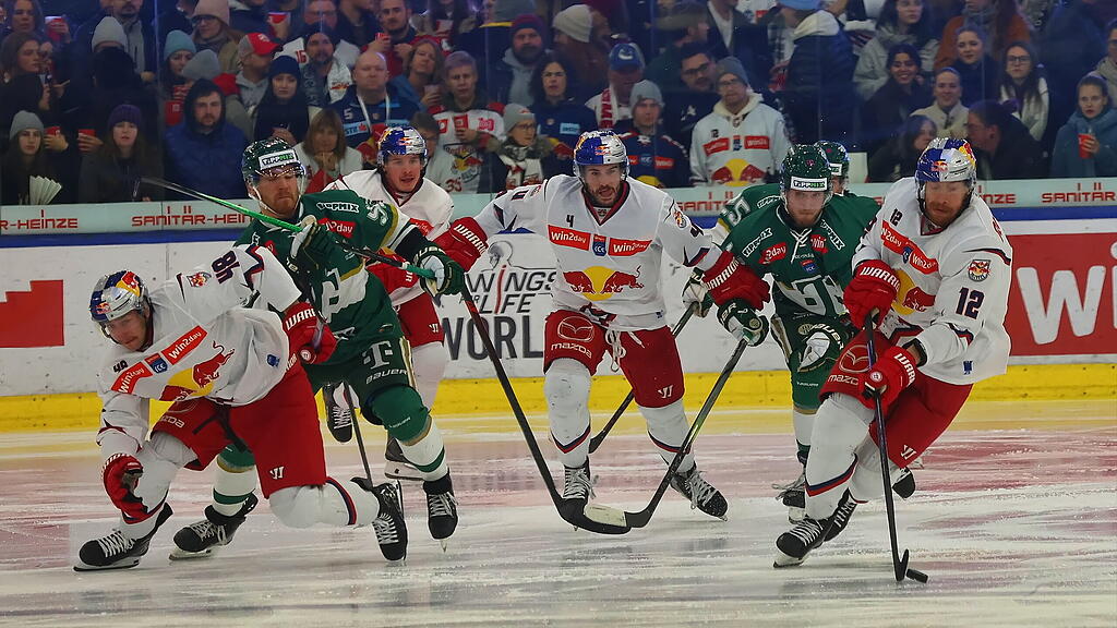 ICE Hockey League: EC Red Bull Salzburg gegen Ferencvaros Budapest