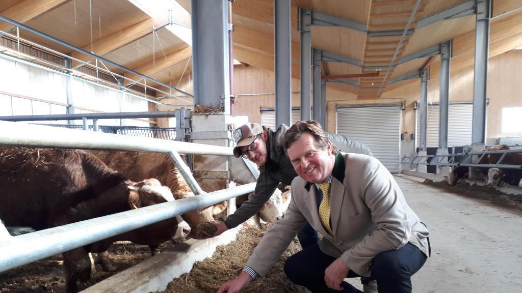 Friesachers neuer Stall in Anif
