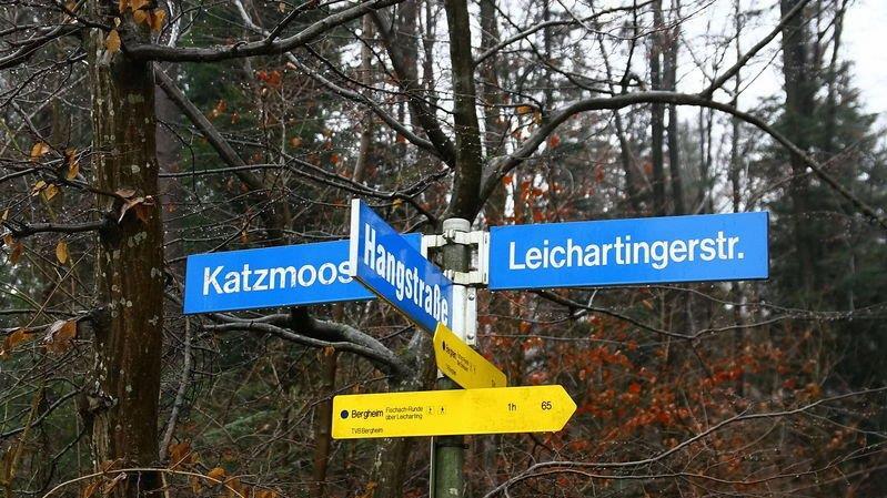 Hochleistungsstrecke vorgestellt