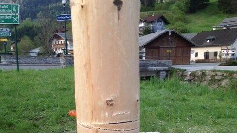 Der Maibaum wurde mit einer Motorsäge angesägt.
