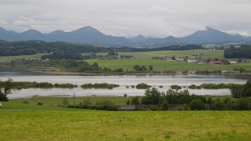 Wallersee trat über Ufer