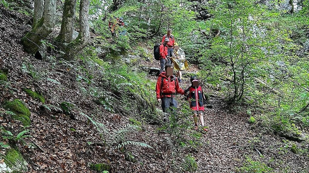 Zwei Bergnotfälle bei Gosausee