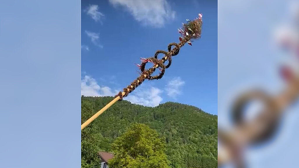 Maibaum Perneck