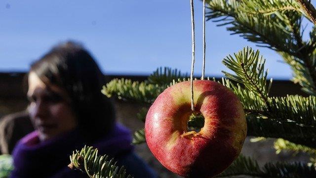 Warten aufs Christkind im Zoo