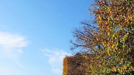 Herbstbilder aus Hellbrunn