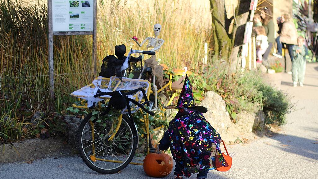 Halloween im Zoo