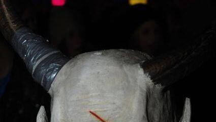Krampus-Auflauf in St. Johann