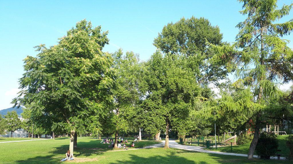Rundgang im Dr. Hans-Lechner-Park