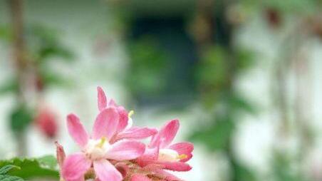 Frühling in Oberösterreich