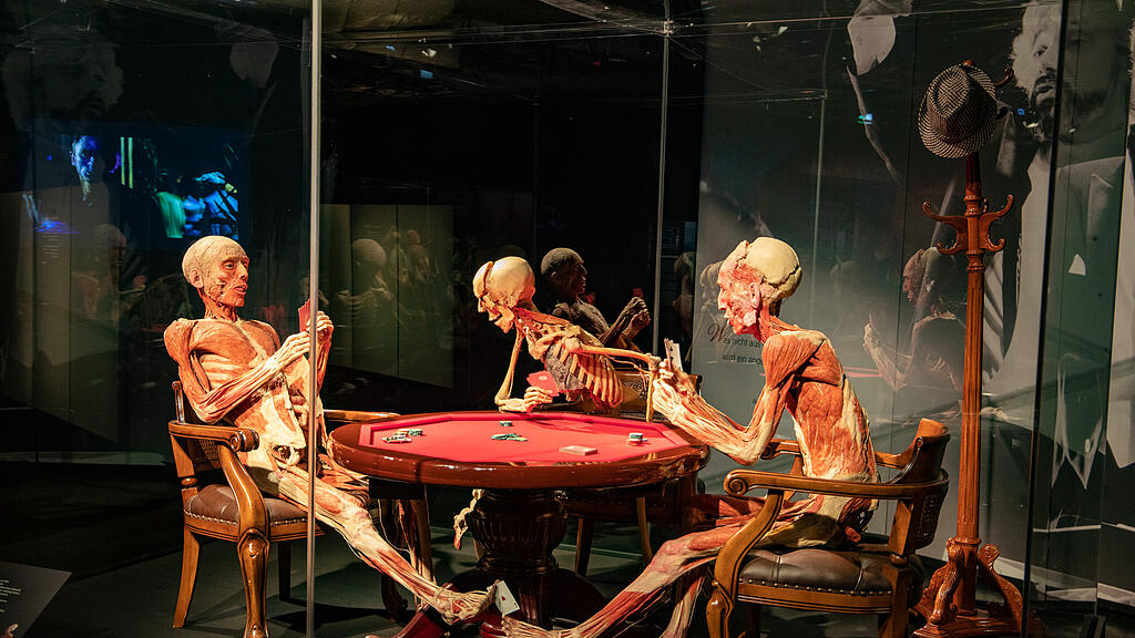 Ausstellung Körperwelten Salzburg I