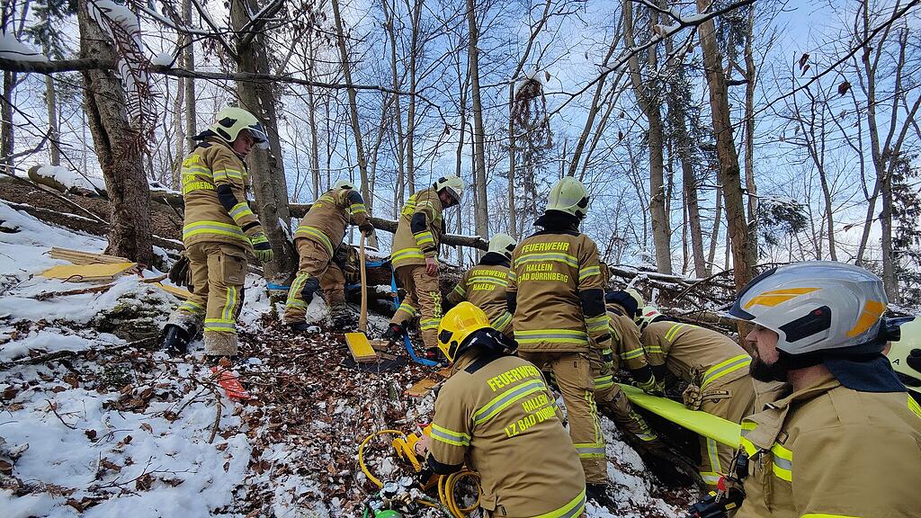 Rettungsaktion Hallein