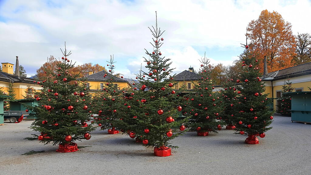Aufbau Adventzauber Hellbrunn