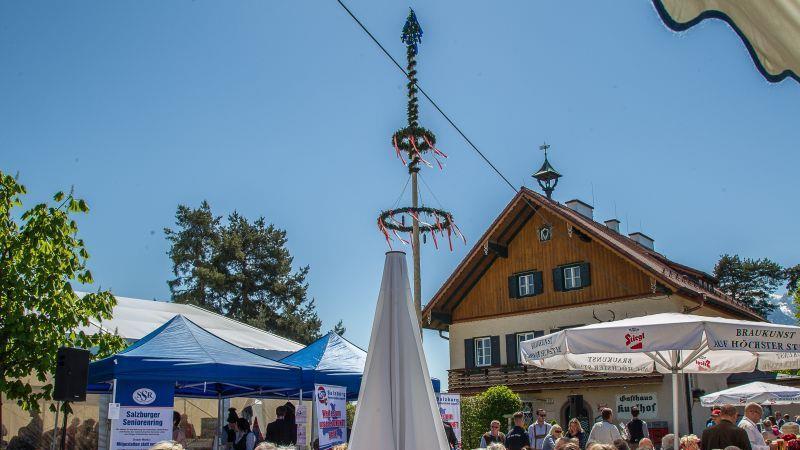 Maibaumaufstellen der FPÖ im Kuglhof