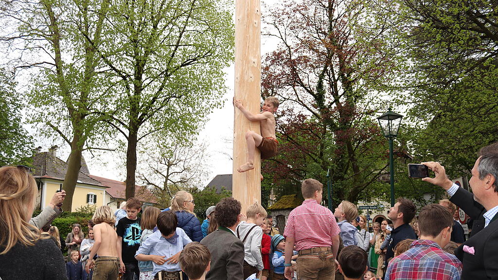 Maibaumaufstellen in Anif