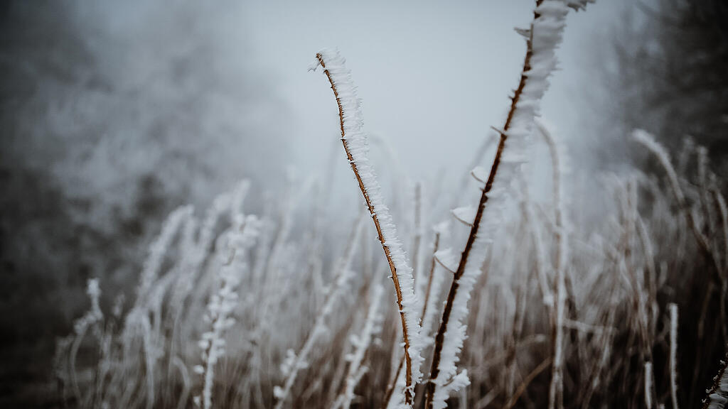 Schnee am Gaisberg