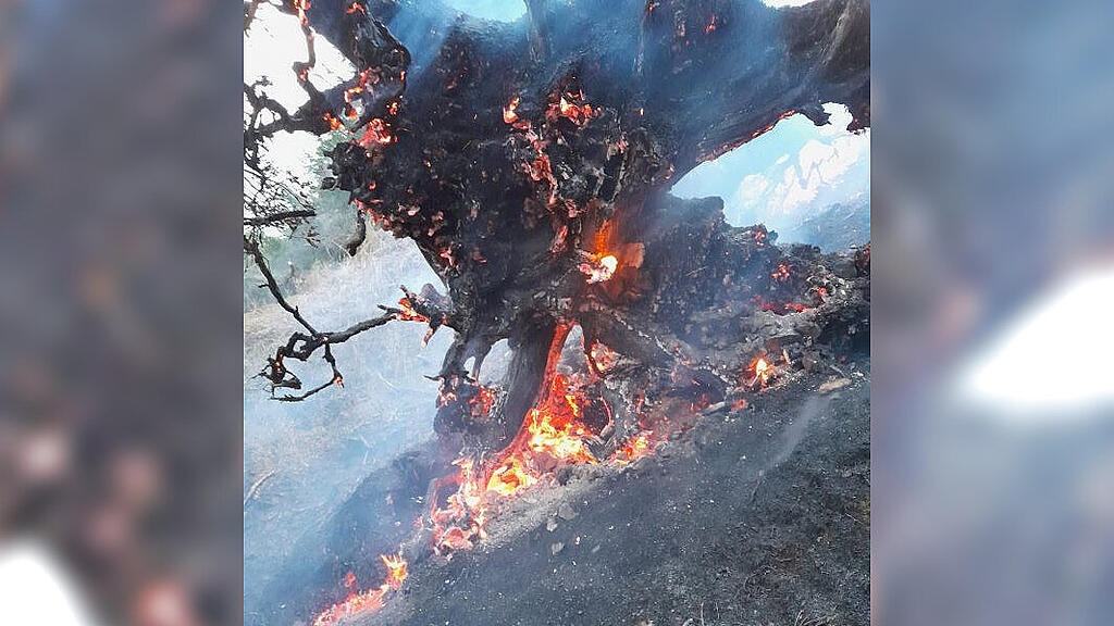 Waldbrand-Einsatz am Untersberg