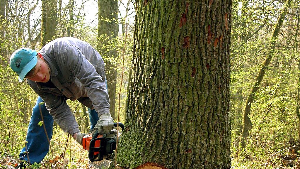 Der 86-jährige Landwirt verunglückte tödlich.