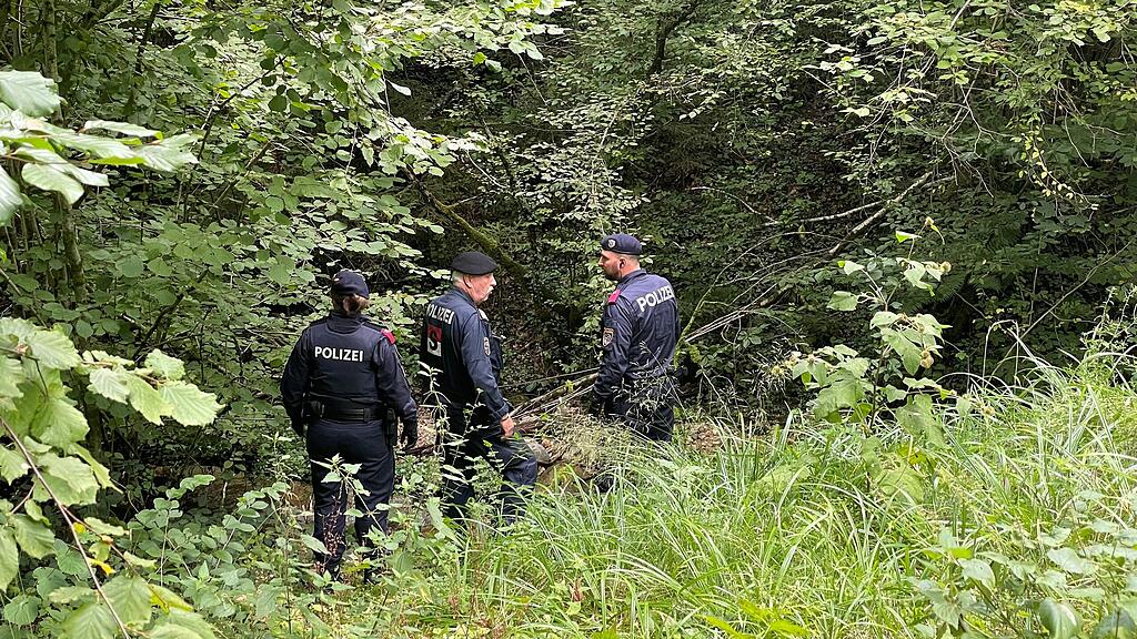 Suchaktion rund um den Untersberg I