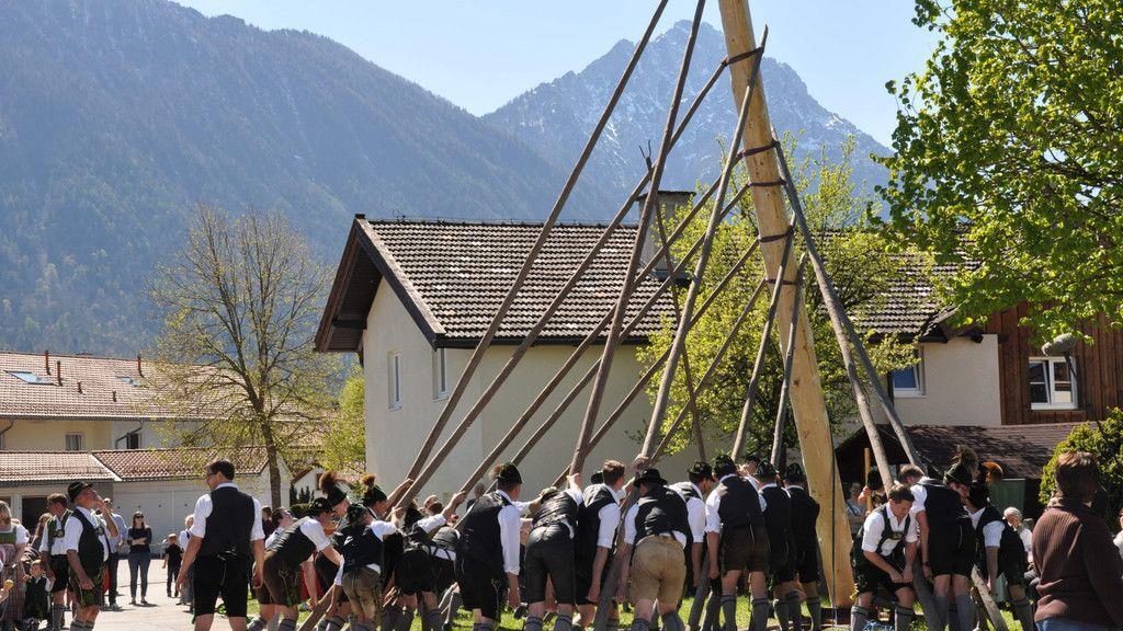 Maibaumaufstellen in Piding und Ainring