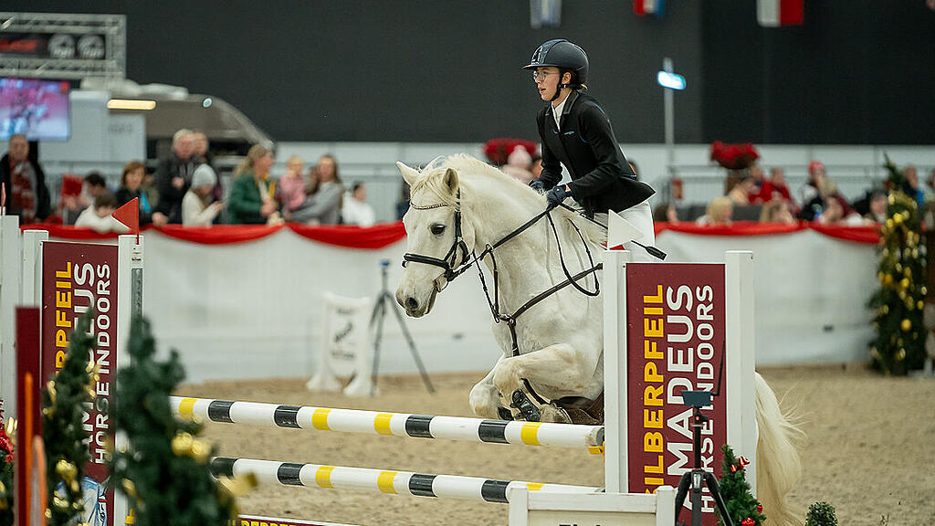 Amadeus Horse Indoors 2023