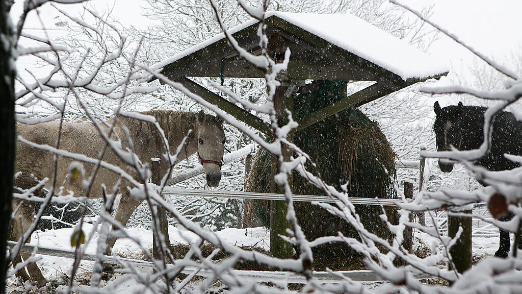 Schnee am Haunsberg