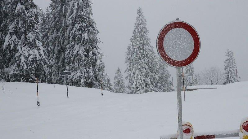 Schneefall am Roßfeld