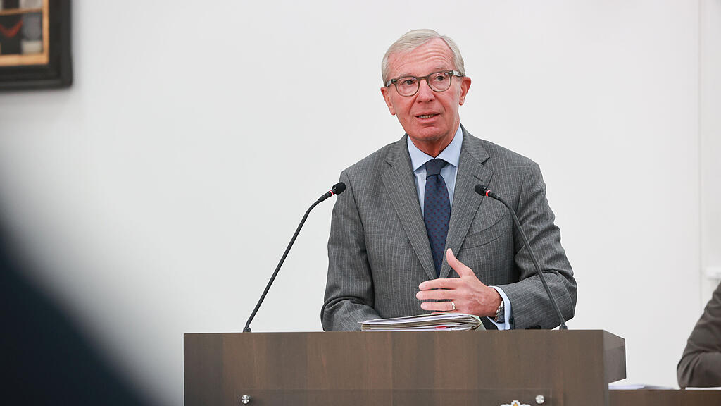 haslauer hearing salzburger landesregierung
