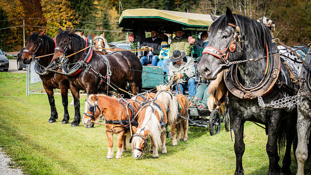 Leonhardiritt Faistenau