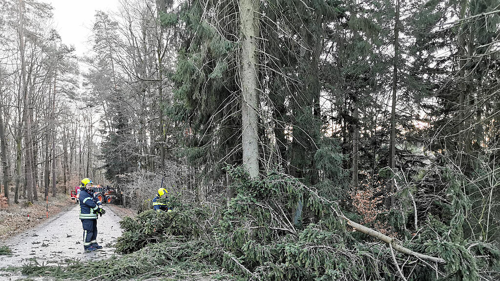Sturm, Sabine, Oberösterreich, Schwertberg