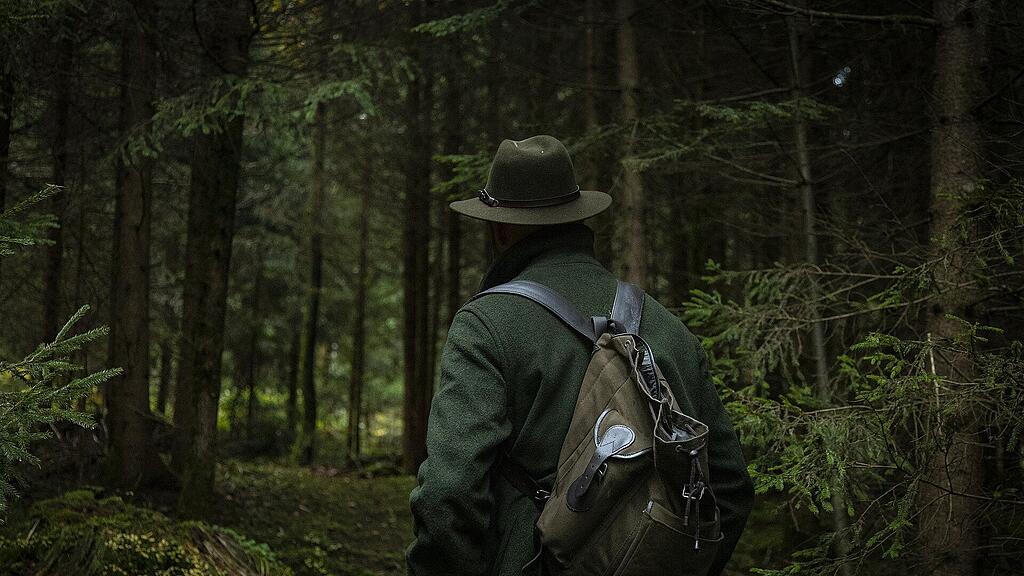 forest-g3b4878788_1920.jpg