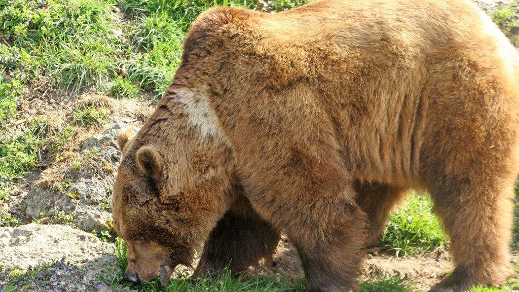 Frühlingserwachen im Zoo Salzburg