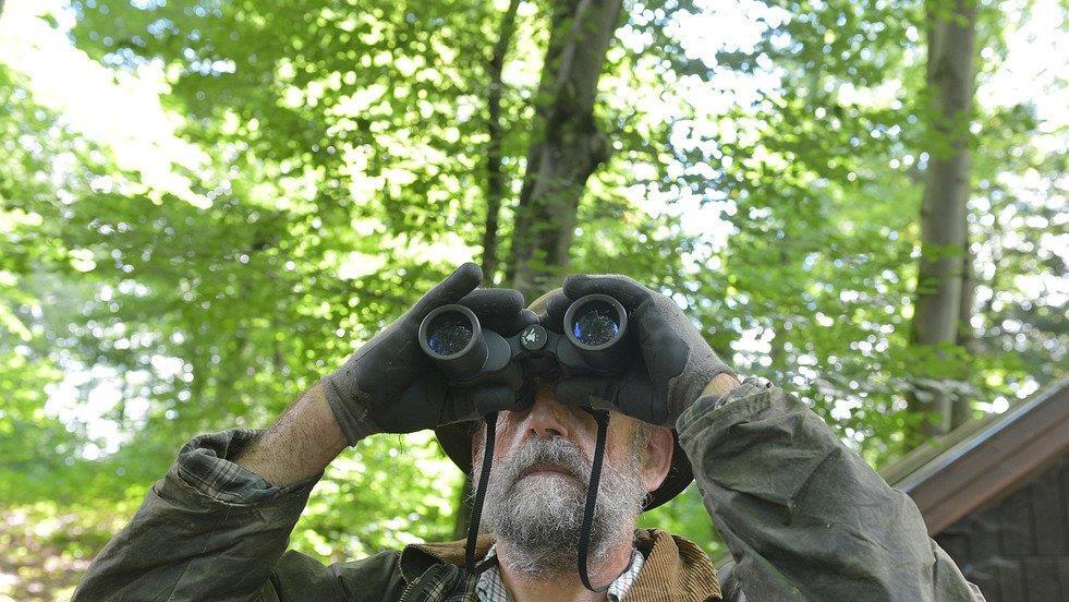 Suche nach Luchs geht weiter