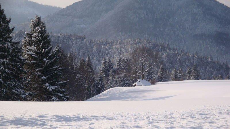 Winteridylle in Ebenau